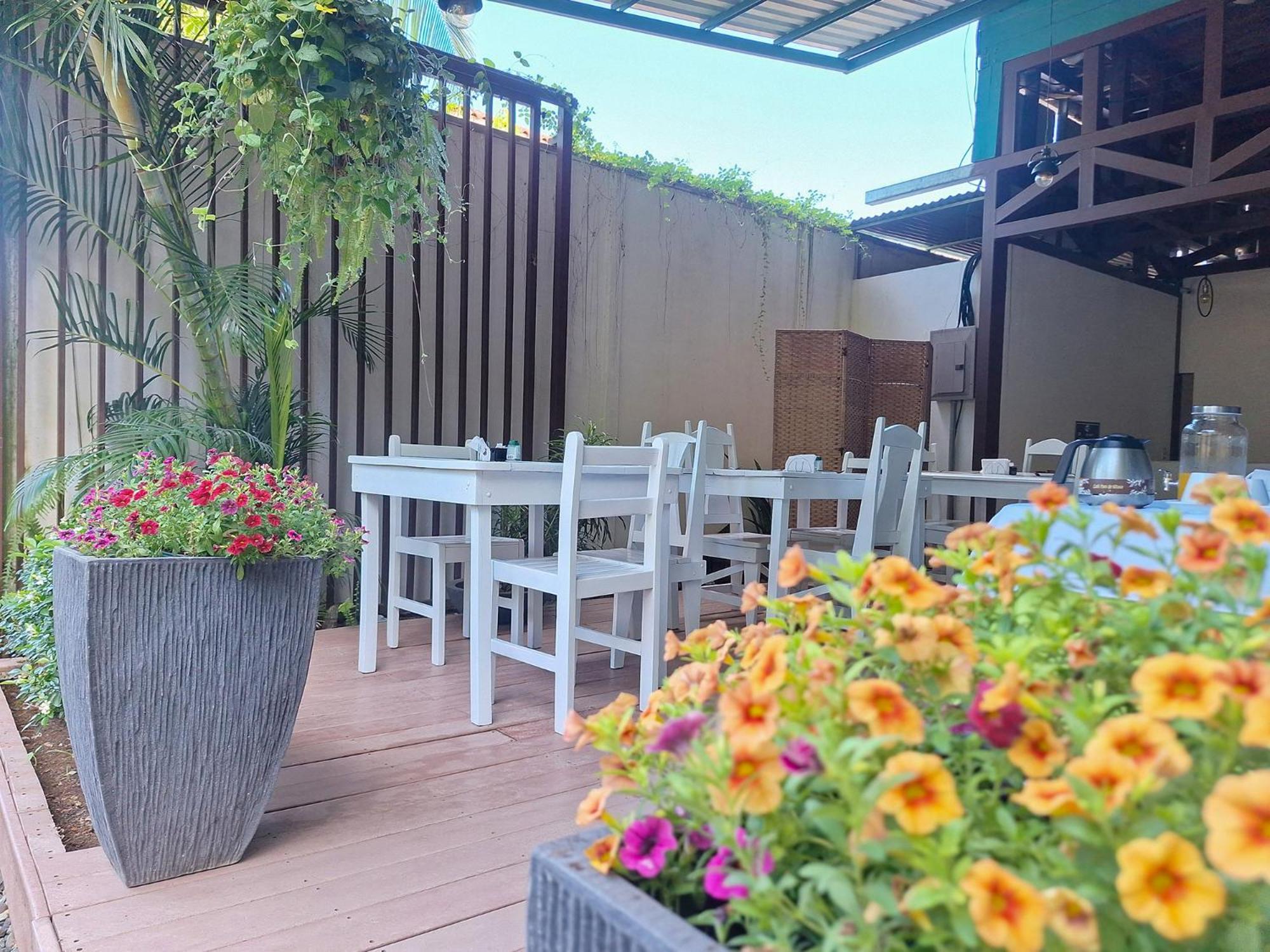 Infiniti Hotel Puerto Viejo de Talamanca المظهر الخارجي الصورة
