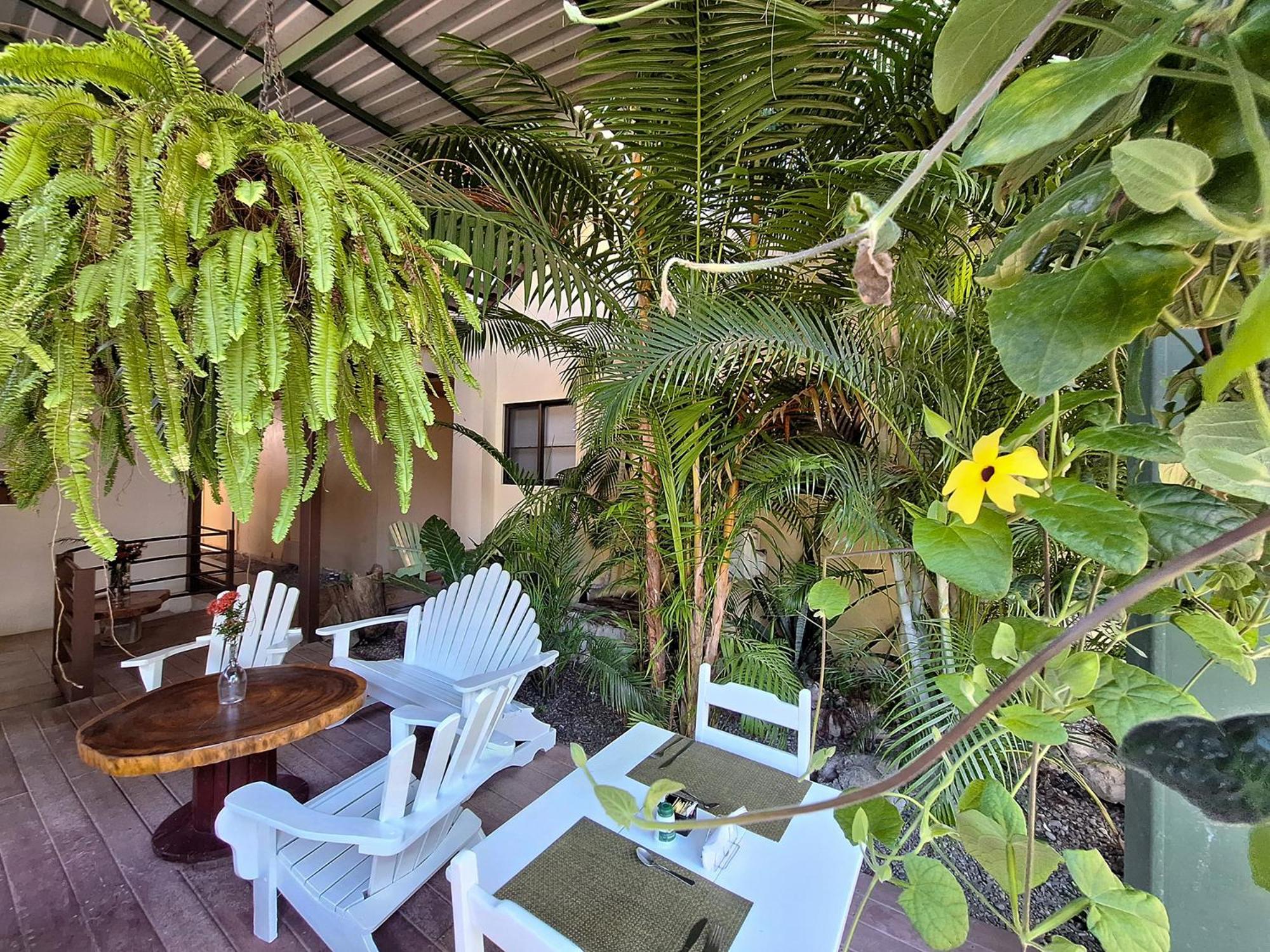 Infiniti Hotel Puerto Viejo de Talamanca المظهر الخارجي الصورة