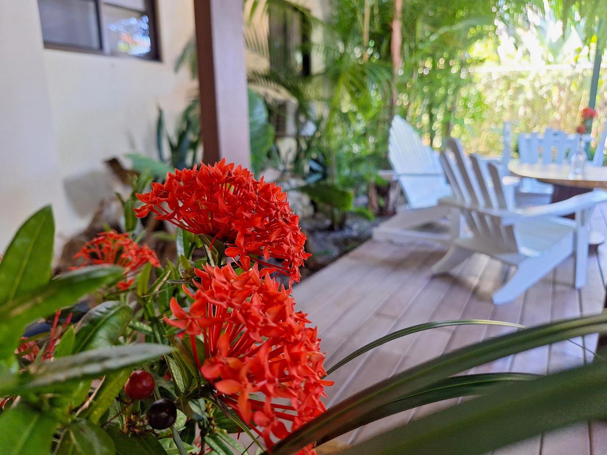 Infiniti Hotel Puerto Viejo de Talamanca المظهر الخارجي الصورة